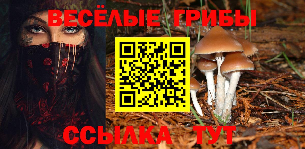 Гуково  Псилоцибиновые грибы Magic Shrooms  Вход с VPN 